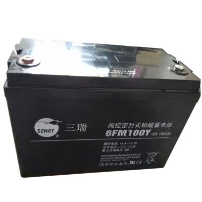 威神蓄电池6FM65-X VISION电池 12V65AH 直流屏 UPS电源高低压配电柜