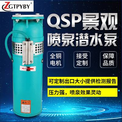 喷泉设备QSP30-30/2-4喷泉潜水泵qs喷泉潜水泵