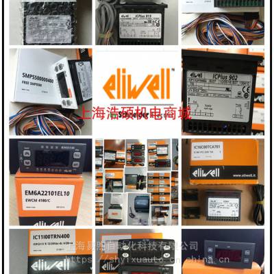 Eliwell EM300(LX) 12/24V TCJ/K PT100¿