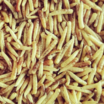 蛆干 蝇蛆干 五谷虫干 鸟鱼食饲料 大元生态养殖