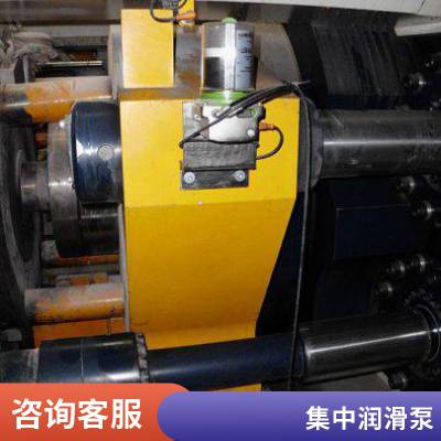 集中润滑泵 德国LUBRICUS 多点式润滑泵 自动润滑泵 卧式重型车床直线导轨副