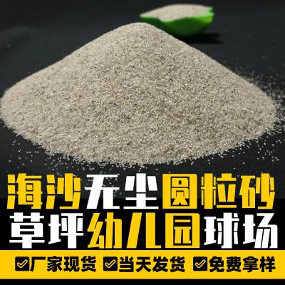 鹏显圆粒砂 精加工黄色海沙 砂浴沙疗儿童沙滩无尘水洗砂