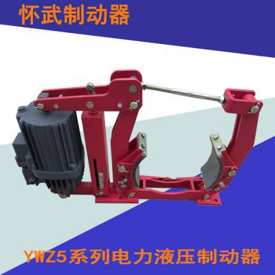 焦作现货直销YWZ5-250/E50电力液压制动器