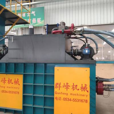 供应全自动卧式废品打包机 1250/FDY-850型