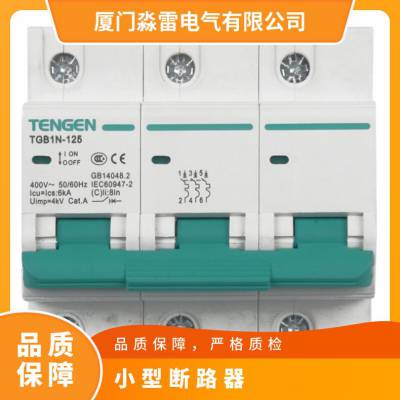 天正电气TENGENTGB1N-631P+NC63小型断路器空气开关 空开总闸