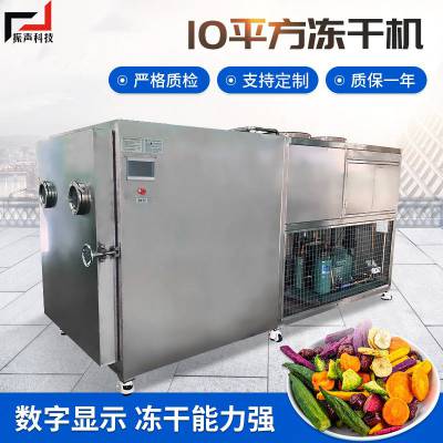 冻干机商用10平方真空冷冻干燥机 宠物果蔬食品大型加工冻干设备