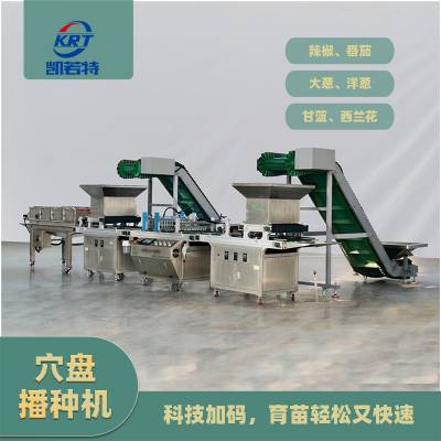 农瑞德穴盘育苗机 智能辣椒穴盘点播机 多功能穴盘播种机