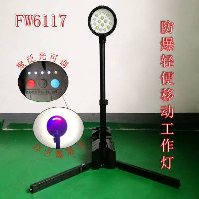 FW6117㹤 ź۵֧ܵ50W