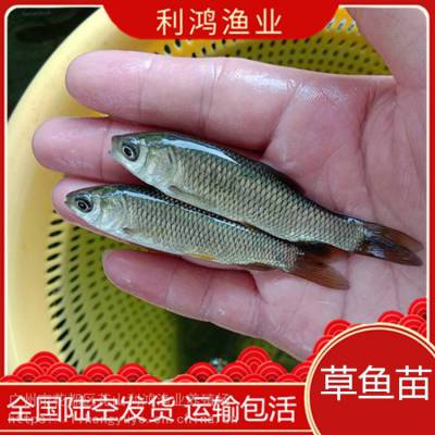 Ӧ磬磬 ֱҵȫ