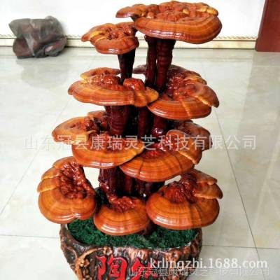 批发灵芝 灵芝工艺品 冠县灵芝盆景 山东灵芝盆栽 观赏灵芝 灵芝摆件