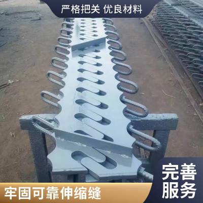 公路桥梁伸缩缝 E型C型F型Z型变形缝装置 来图定制
