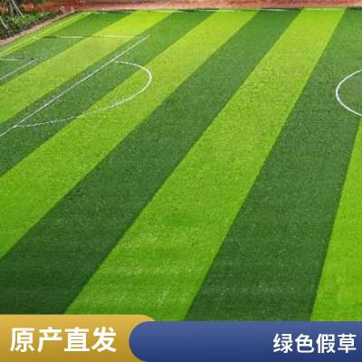 纵锐翔 徐 州足球人造草坪景观施工 操场游乐园布景绿植草毯