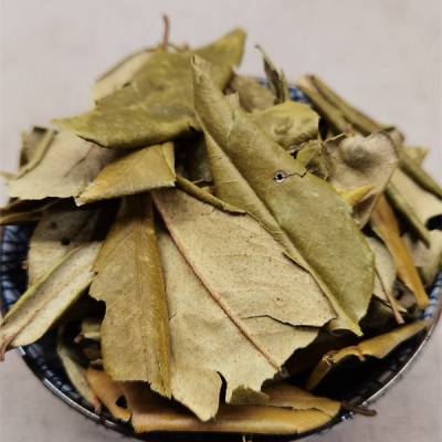 胡颓子别名叫什么胡颓子种植亩产量胡颓子收购多少钱斤胡颓子哪里有卖