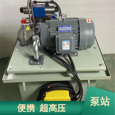 供应小型移动微型泵站 定制不锈钢双油路电动液压泵