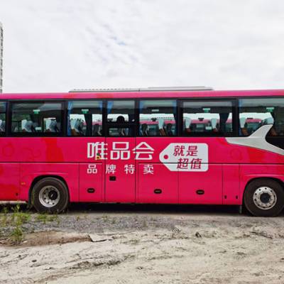 ݳ泵