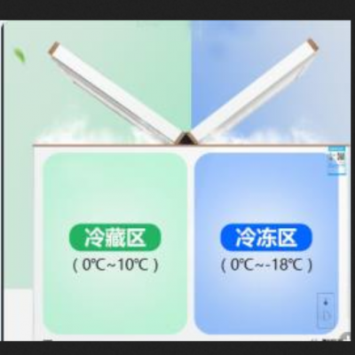 双顶蝶门冰柜（双门有防爆证） 型号 B-300w 库号 M392393