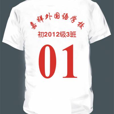 成都丝印T恤_衣服_文化衫_广告衫印字印图_球服印制编号码