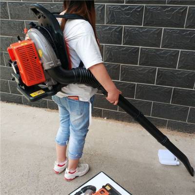 578tf冬季大棚屋顶汽油背负式吹雪机落叶工程汽油吹风机捷卓