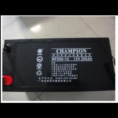 CHAMPION蓄电池12V100AH***格 个人用零售价