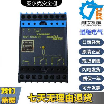 德国图尔克安全栅MK15-12EX0-PN/24VDC假一罚十TURCK安全栅