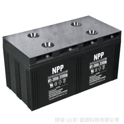 NPPNP2-3000ά2V3000AHͨŹUPS/EPSԴ