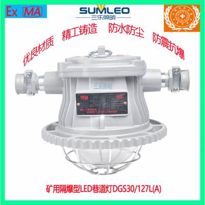 ÷LED͸ǿDGS30/127L(A)