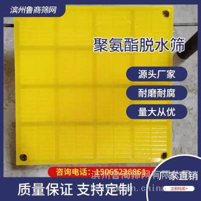 聚氨酯脱水筛网 2445脱水筛机 水洗砂筛网 细沙回收设备 条缝筛 塑料网 方圆
