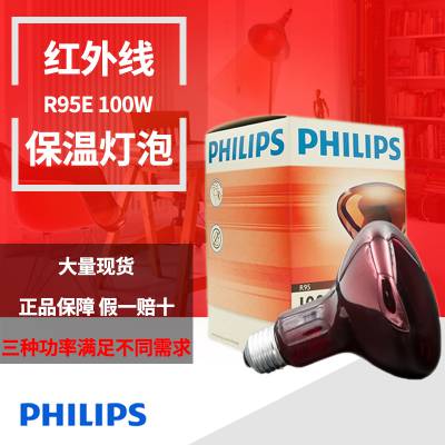 PHILIPSֺ***R95Eݺ濾100W 