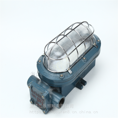 支架灯DGC18/127L