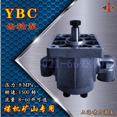 YBC-45/80齿轮泵 YBC-30/80石家庄煤矿机械齿轮泵啸力
