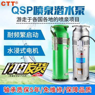 小型喷泉水泵 QSP65-18-5.5 上海喷泉水泵