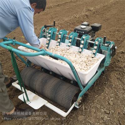 汽油大蒜播种机 经济实用大蒜栽种机 湖南农用小型种蒜机器