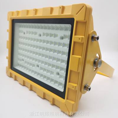  վר÷ MBF98-L100wLED