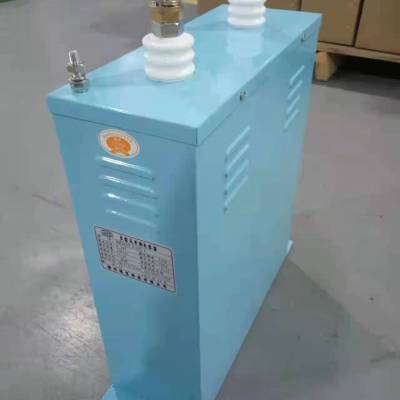 矿热炉专用电容器-新东北电气-BKMJ0.3-60-1