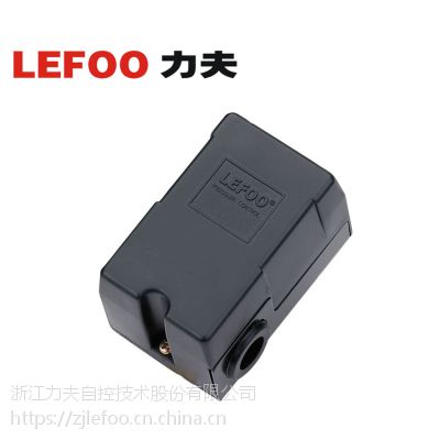 LEFOO LF10-Wˮѹ ƲԶˮϵͳѹ