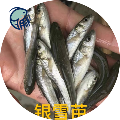 䶨 ƽ   糡