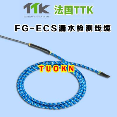 TTK λFG-ECS ©ˮ FG-ECS©ˮ