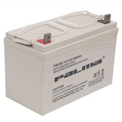 PALMA八马蓄电池PM100-12(12V100AH) UPS/EPS电源直流屏用电瓶专用