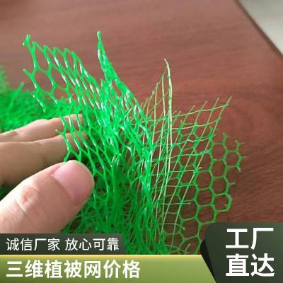 环保草皮世杰三维植被网 EM4绿化固土网垫 减少土体自重力