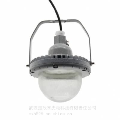 ܵBAD51 LED 50W ѹƵ NGG/NGX400W