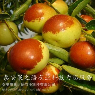 23ֶ硢3ֶһõļǮ
