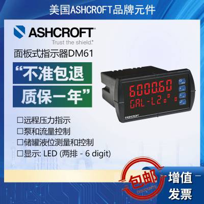 Ashcroft数字面板式指示器DM61雅斯科储罐液位测量和控制