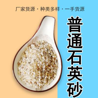 普通石英砂滤料 0.5-1mm 公园铺面用草坪沙 玛琳矿产 SYS-05