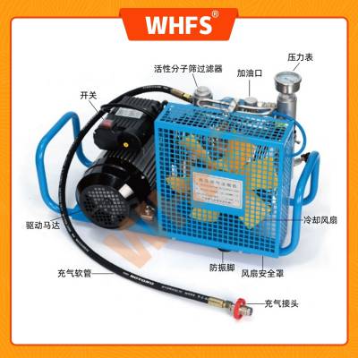 100L空气压缩机 便捷式充气泵 小型高压空气填充泵 充气四级压缩
