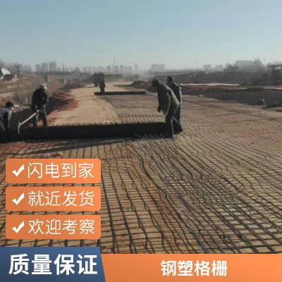 聚丙烯双向塑料土工格栅 路基加固用 多规格可定制