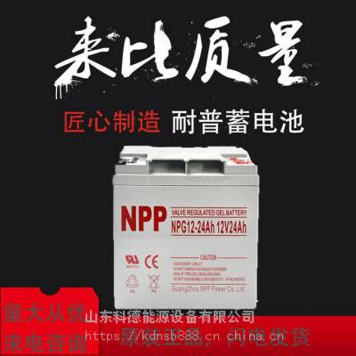 npp耐普蓄電池npg12-24ah 耐普電池eps直流屏電池12v24ah ups電池