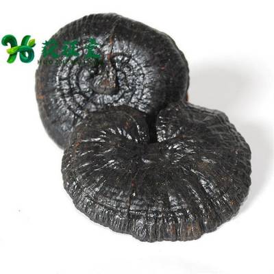 正宗黑灵芝无硫野个 泡酒好货 ***名贵药材获证堂