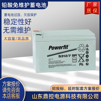 GNBS312/100ǦάPowerfitܱ12V100AHUPSϵԴװάѲ
