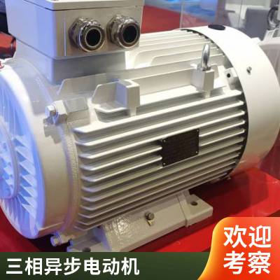 厂家销售 YE3三相异步电机 3-90kw电动机 ye3-160-2/4/6级交流电机