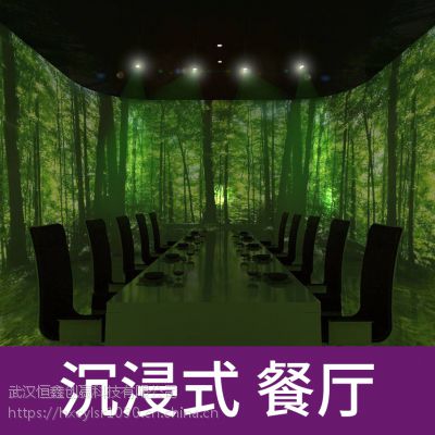 人ζý廥ȫϢ3DȫϢͶӰʽưKTV0305